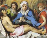 Andrea del Sarto Pieta (mk08) oil painting artist
